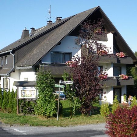 Ferienwohnungen Landhaus Meran Inkl Meinecardplus Willingen  Bagian luar foto