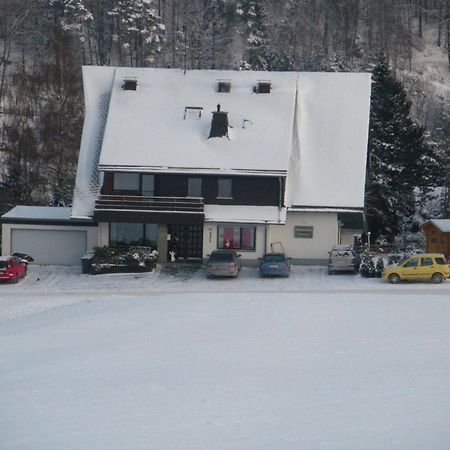 Ferienwohnungen Landhaus Meran Inkl Meinecardplus Willingen  Bagian luar foto