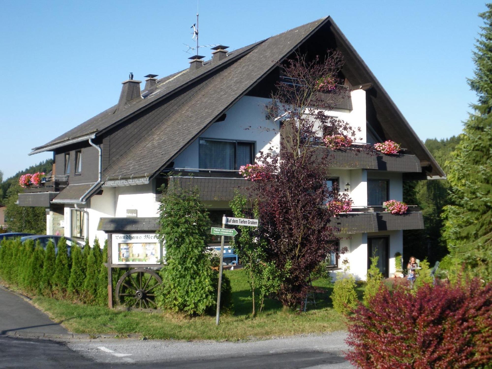 Ferienwohnungen Landhaus Meran Inkl Meinecardplus Willingen  Bagian luar foto