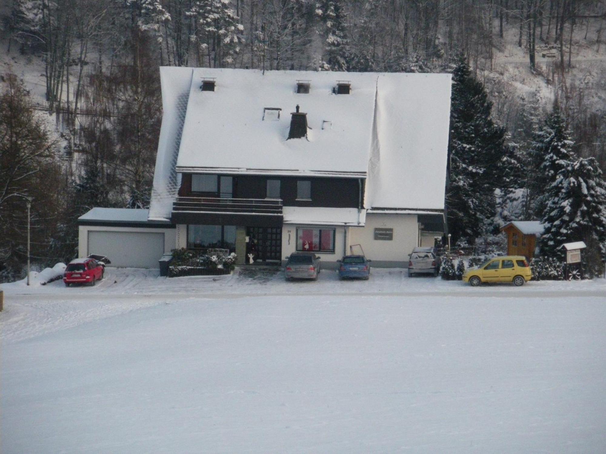 Ferienwohnungen Landhaus Meran Inkl Meinecardplus Willingen  Bagian luar foto