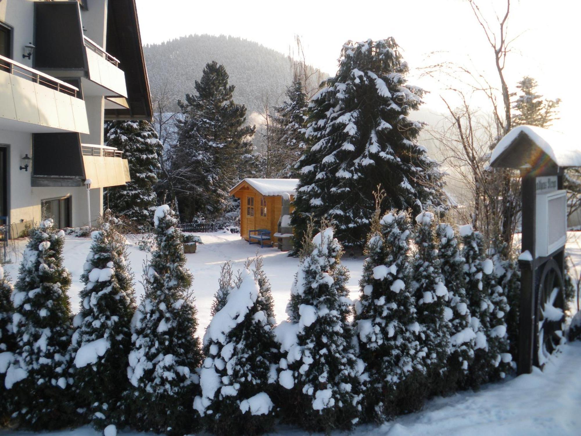 Ferienwohnungen Landhaus Meran Inkl Meinecardplus Willingen  Bagian luar foto