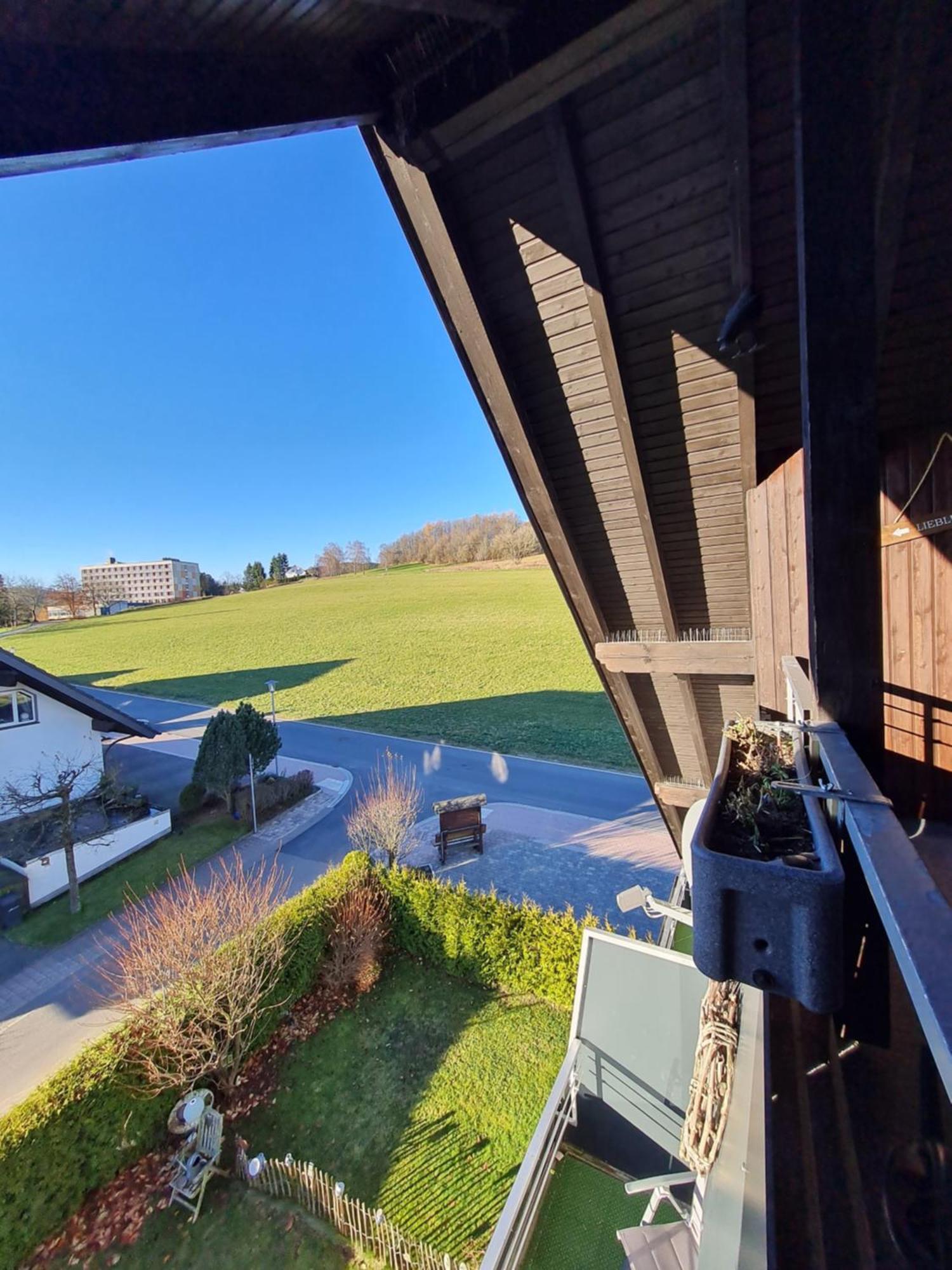 Ferienwohnungen Landhaus Meran Inkl Meinecardplus Willingen  Bagian luar foto