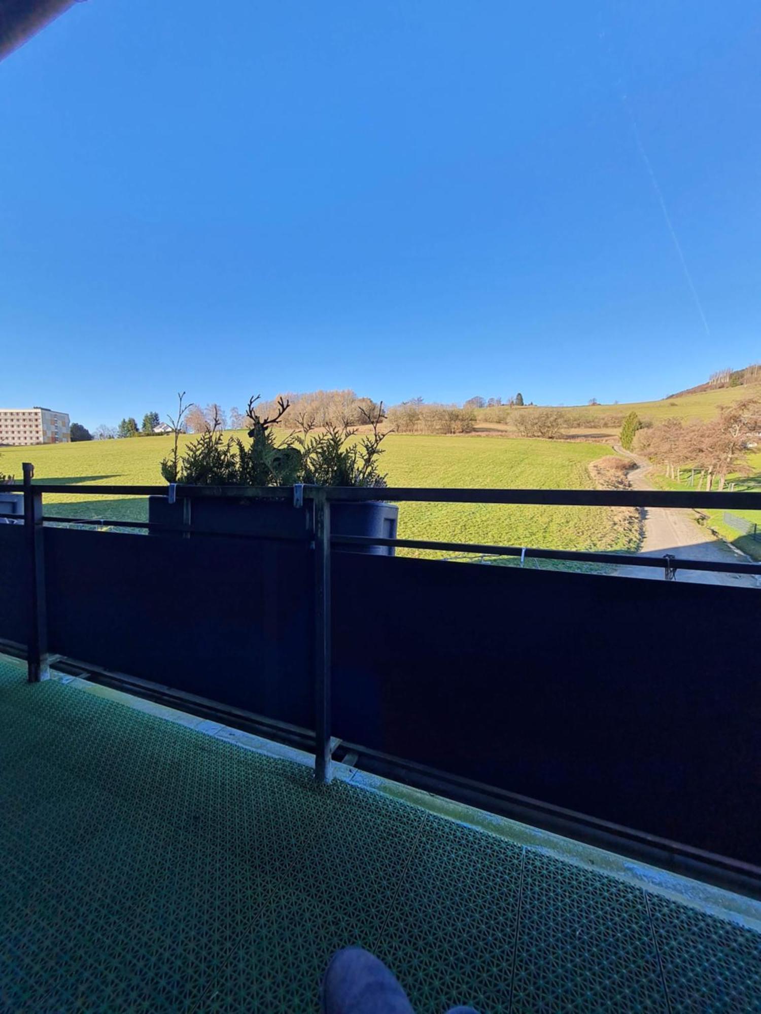 Ferienwohnungen Landhaus Meran Inkl Meinecardplus Willingen  Bagian luar foto
